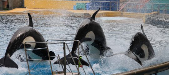 le parc marineland